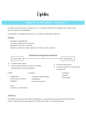 Tema 4-Lipidos.pdf