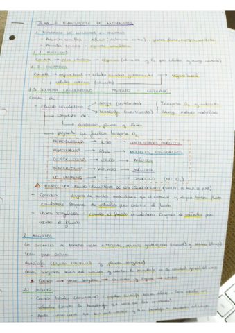 tema-6.pdf
