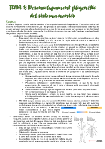 Neuroanatomia-TOTA-la-TEORIA.pdf