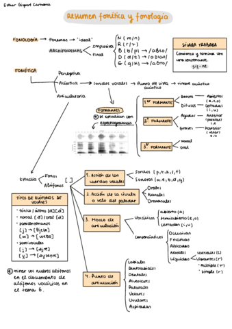 Resumen-Fonetica-Y-Fonologia-.pdf