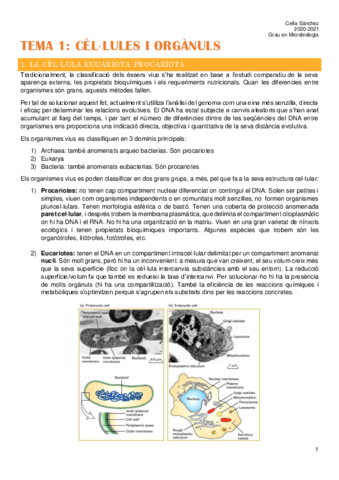 Tema-1.pdf