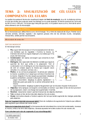 Tema-2.pdf