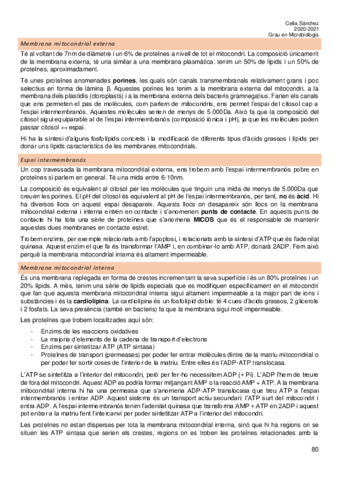 Tema-10.pdf