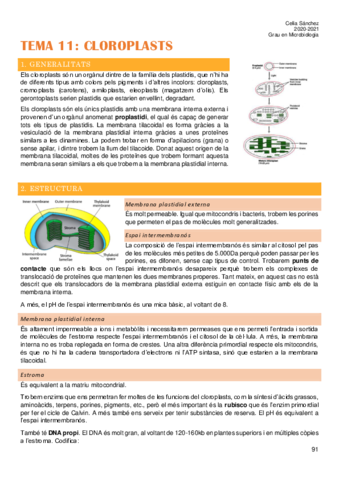 Tema-11.pdf