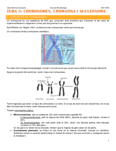 Tema-3.pdf