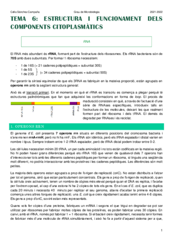 Tema-6.pdf