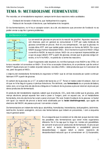 Tema-9.pdf