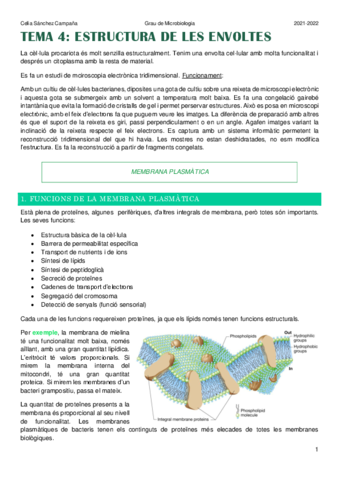 Tema-4-i-5.pdf