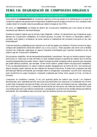 Tema-10.pdf