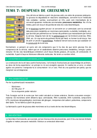 Tema-7.pdf