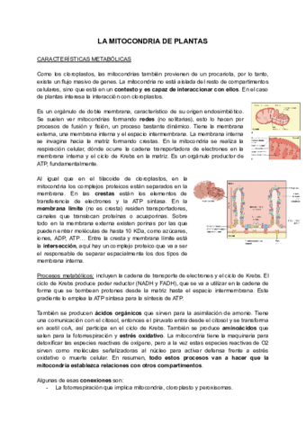 T6-LA-MITOCONDRIA-DE-PLANTAS.pdf
