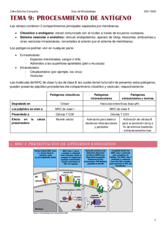 Tema-9.pdf