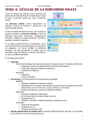 Tema-4.pdf