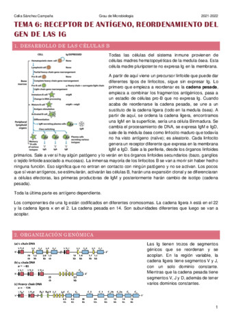Tema-6.pdf
