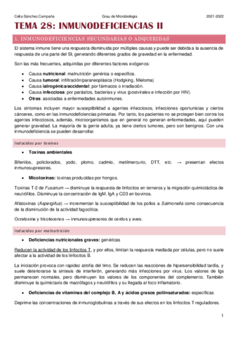 Tema-28.pdf