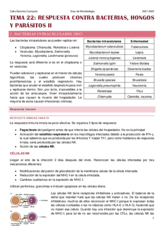 Tema-22.pdf