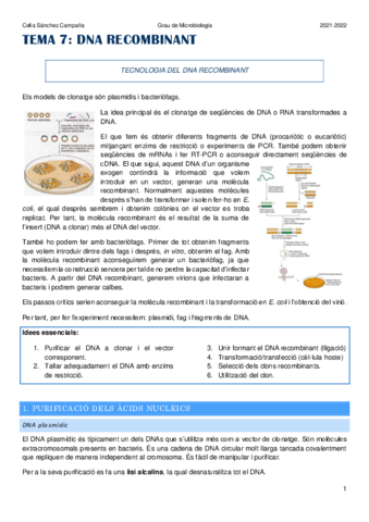 Tema-7.pdf