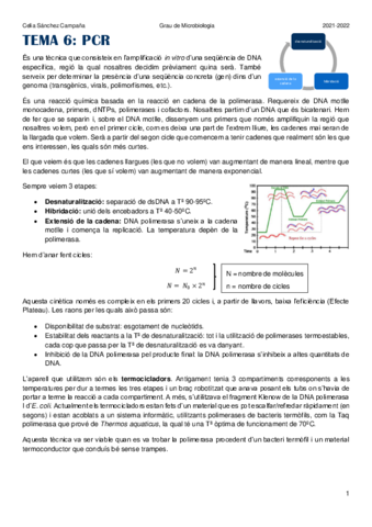 Tema-6.pdf