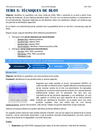 Tema-5.pdf