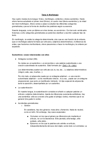 Tema-4-Morfologia.pdf