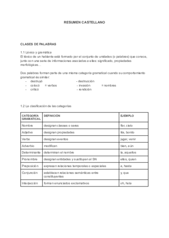 RESUMEN-CASTELANO.pdf