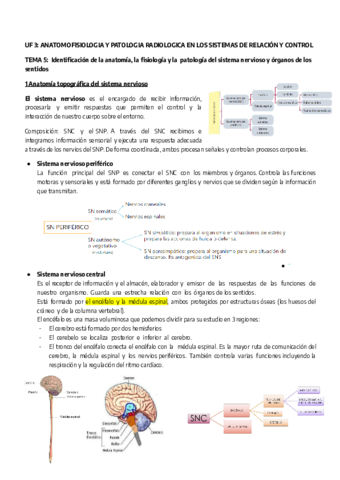 UF-3-.pdf