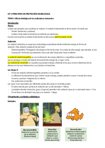 UF-1-PRINCIPIOS-DE-PROTECCION-RADIOLOGICA.pdf