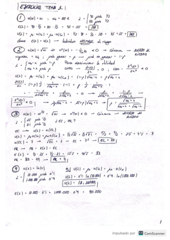 Ejercicios-Tema-1-Miguel-Angel.pdf