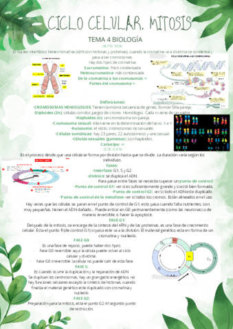 BIOLOGIA-TEMA-4.pdf