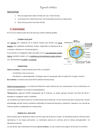 Organuls-cellulars.pdf