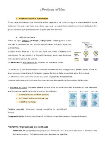 Membranes-cellulars.pdf