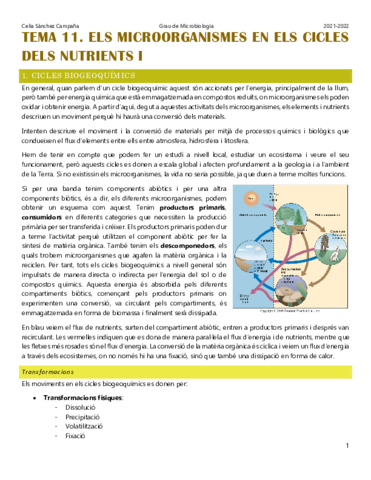 Tema-11.pdf