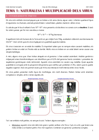 Tema-1.pdf