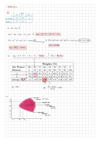 exercises-PS6-solutions-financial economics.pdf