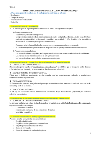 precariedadTEMA4.pdf