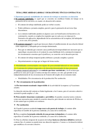 precariedadTEMA2.pdf