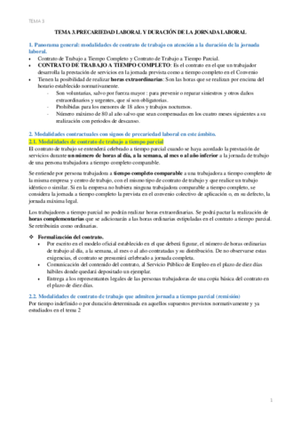 precariedadTEMA3.pdf