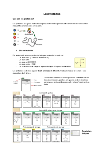 Tema-4Les-proteines.pdf