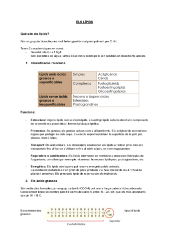Tema-3Lipids.pdf