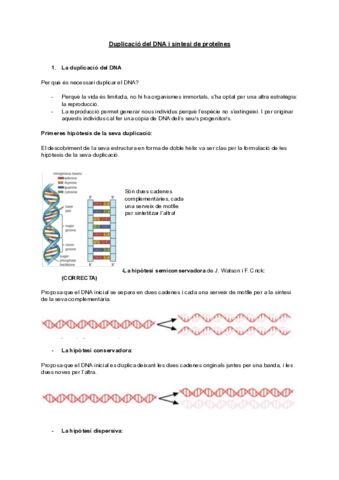 Tema-6Duplicacio-del-DNA.pdf