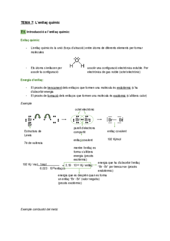 Apunts-tema-7.pdf