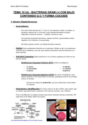 TEMA-10-A-BACTERIAS-GRAM-POSITIVAS-CON-BAJO-CONTENIDO-G-C-Y-FORMA-COCOIDE.pdf