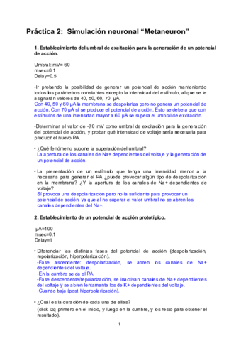 CUESTIONARIO-METANEURON.pdf