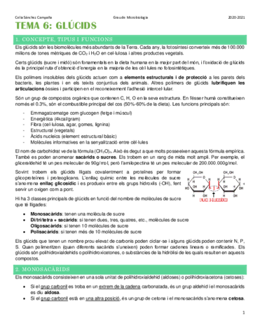 Tema-6.pdf