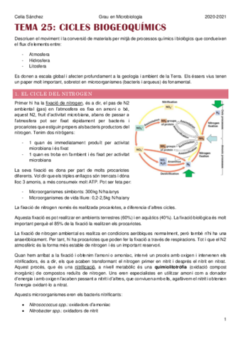 tema-25.pdf