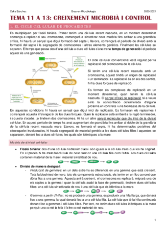 temes-11-a-13-.pdf