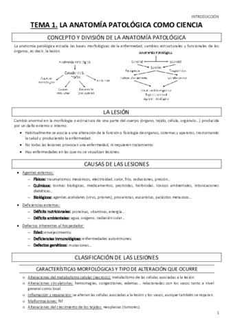 1o-Parcial-APG.pdf