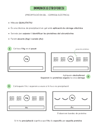 IMMUNOELECTROFORESI.pdf