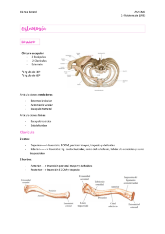 osteologia-extremidades.pdf