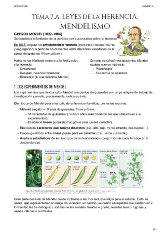 Tema-7A-Mendelismo-completo.pdf